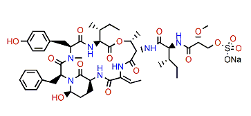 Symplostatin 10